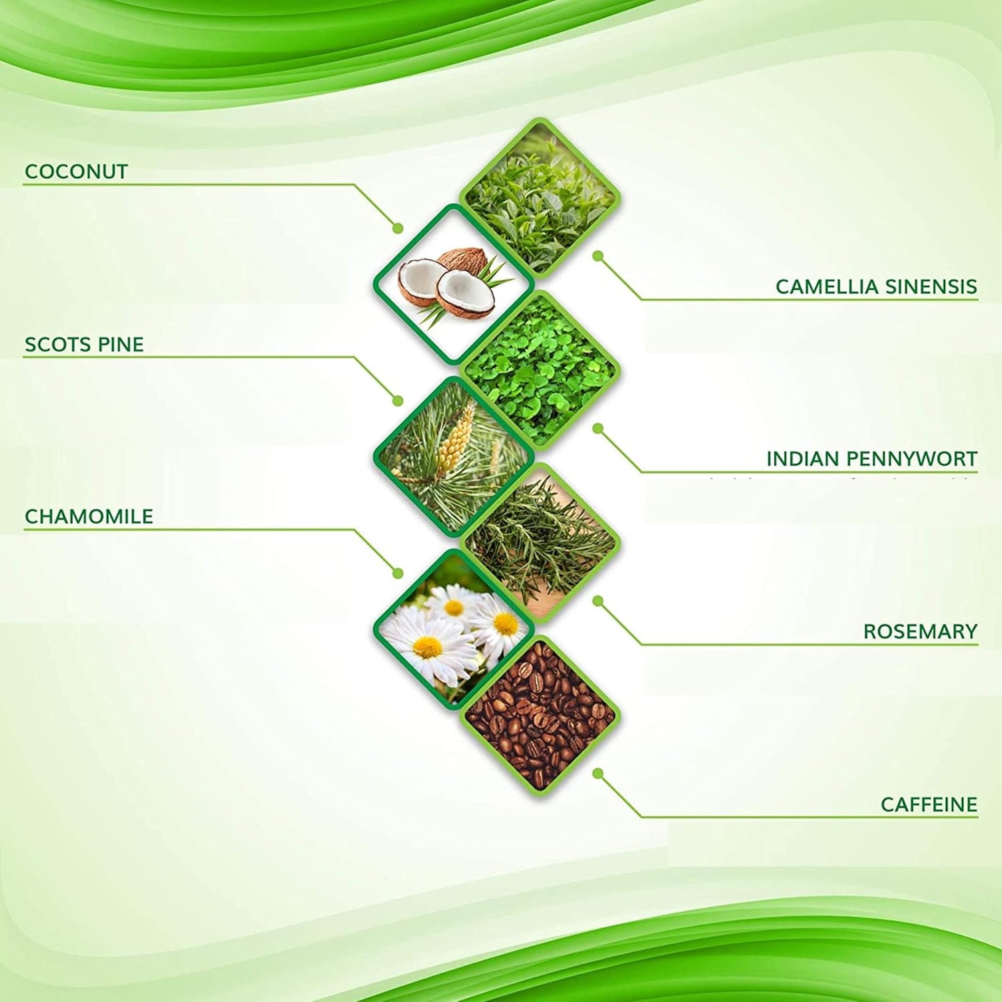 Anti-Cellulite Gel Cream – Body Moisturizer for Arms Legs and Stomach – Lift and Slim body cream by Shape and Tone 300 ml