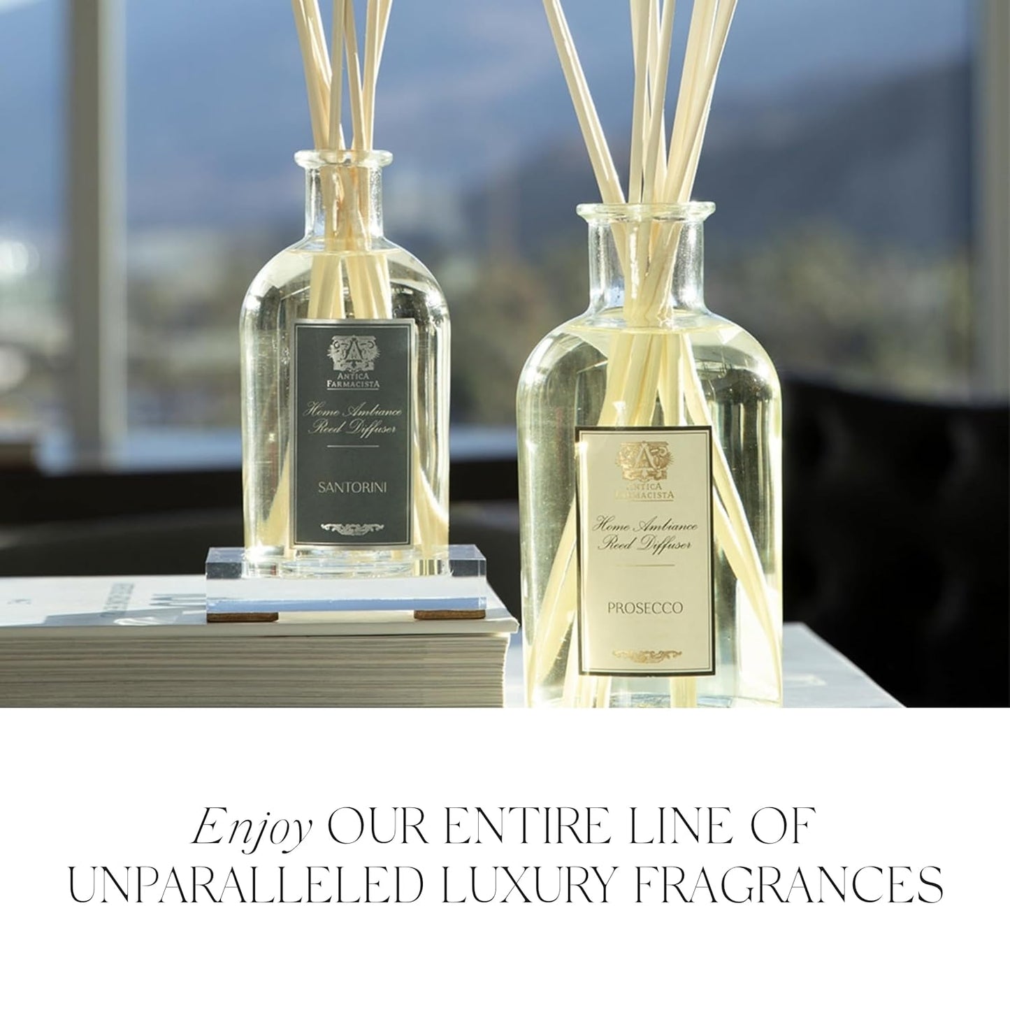 Antica Farmacista Body Moisturizer - Moisturizing Scented Lotion - Premium Body Moisturizer - Luxury Gift for Women & Men - Hand & Skin Hydration - Daphne, 10 Fl Oz