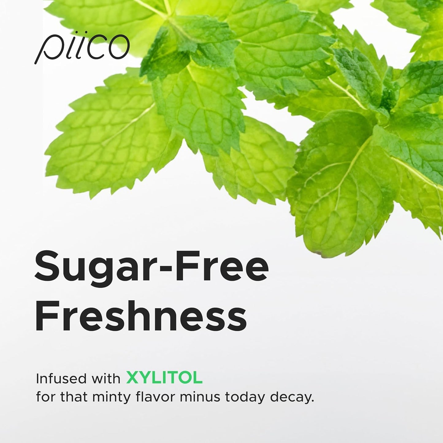 Piico Xylitol Floss Picks, 100 Count - Unbreakable, Shred-Resistant, Resealable, Unique Flavored Dental Flossers for Adults, Portable