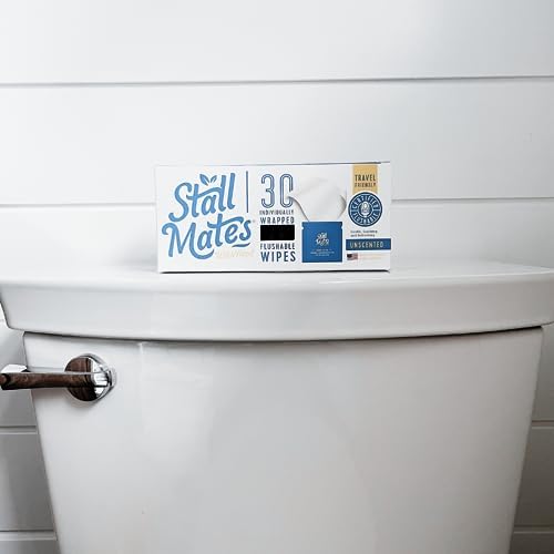 Stall Mates Wipes Witch Hazel: Flushable Wipes | Individually Wrapped | Travel Friendly | Soothing Witch Hazel | Unscented with Cucumber, Aloe and Chamomile | (90 on-the-go singles) BULK PACK