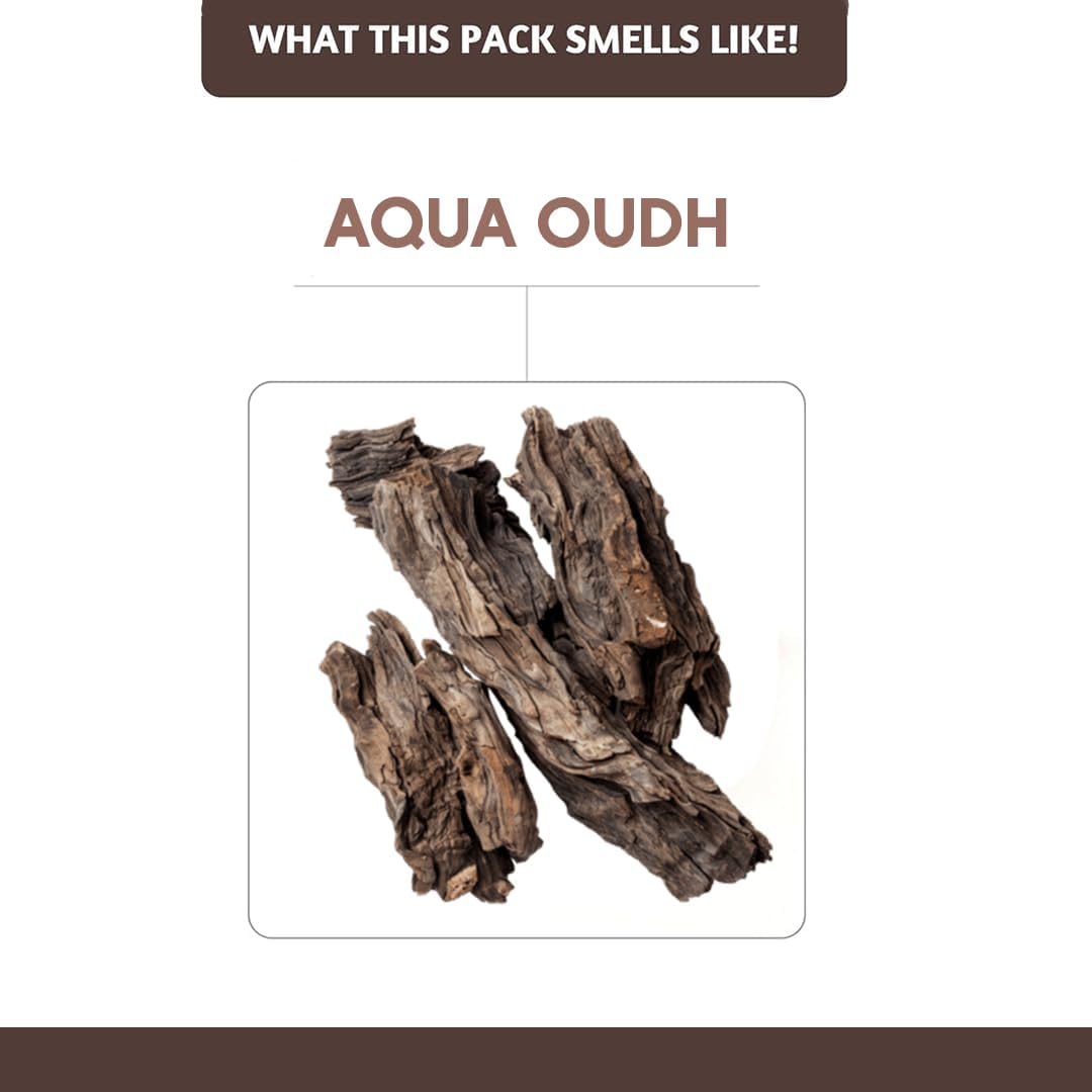 Folkulture Oud Incense Sticks | Set of 100 Insence-Sticks with Holder for Relaxation | Aqua Oudh Incense | Organic, Slow Burning & Non Toxic Inscents for Meditation | Oudh