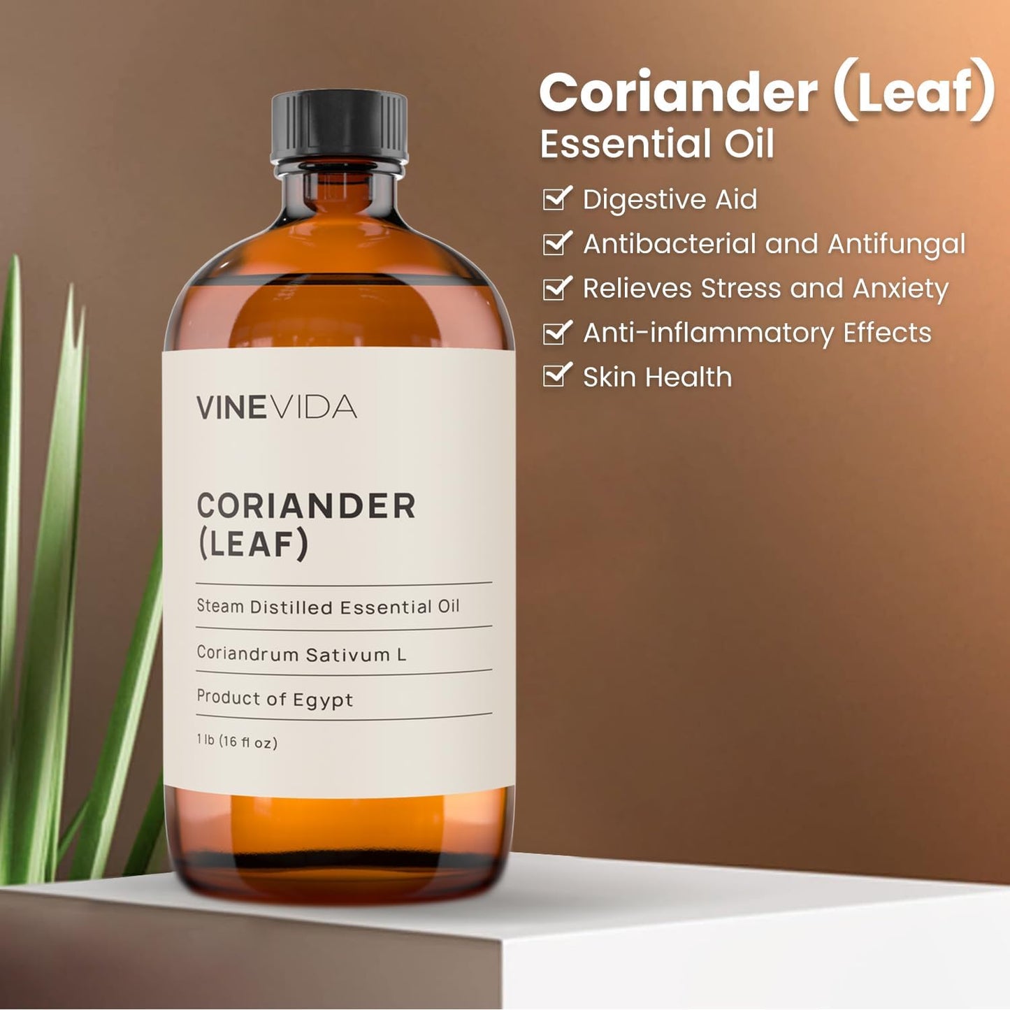 VIVEVIDA Coriander Essential Oil - Undiluted for Soap Making and Candlemaking - 16 oz Bulk Bottle
