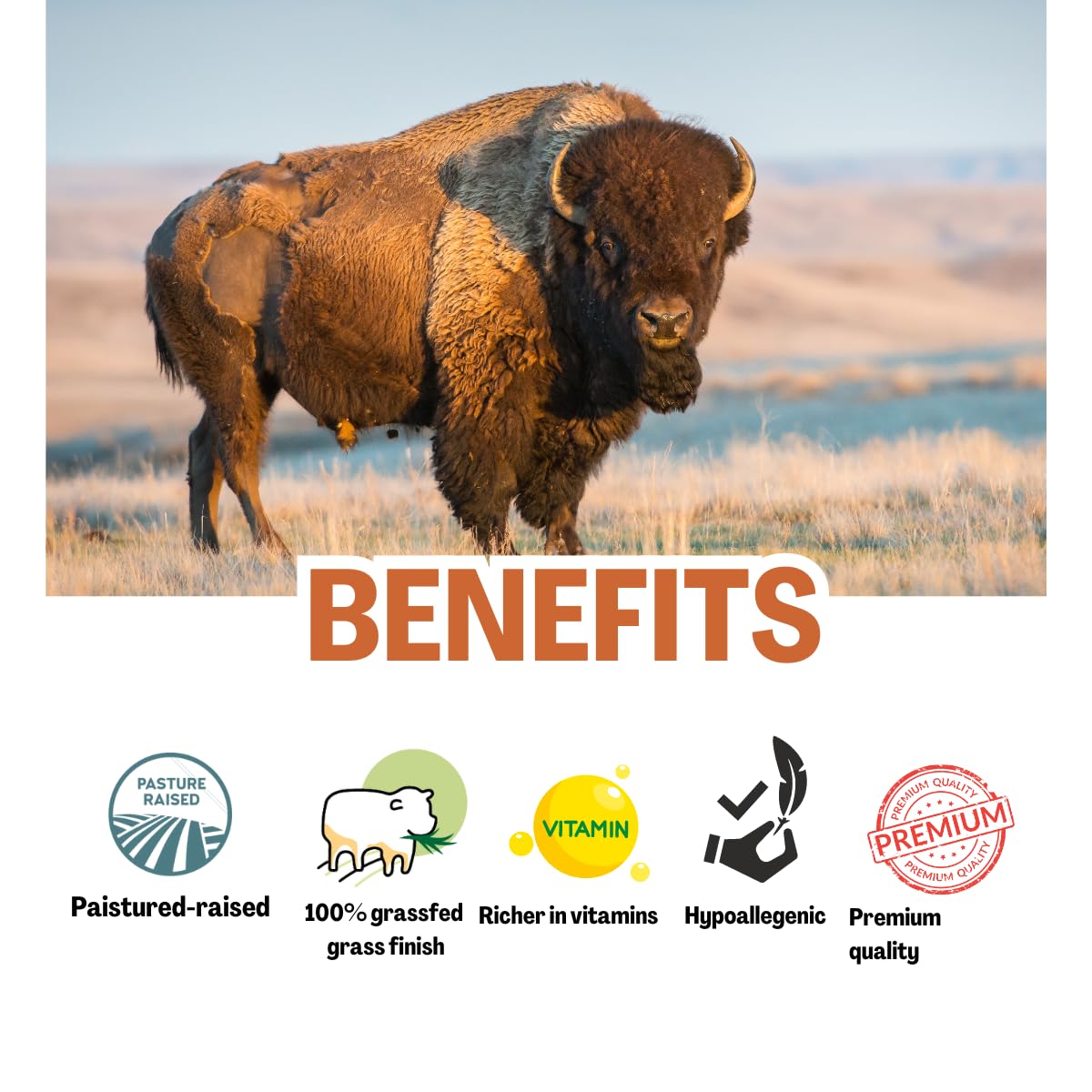 BISON | EMU | HONEY Balm - made with pasture raised Bison tallow and antioxidant Astaxanthin | Tallow Balm | with honey and emu oil | All natural | suitable for sensitive skin - 2 fl oz