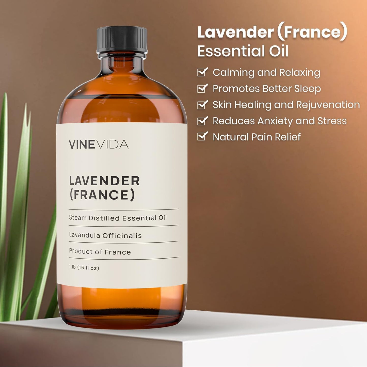 VINEVIDA Lavender France Essential Oil 16 oz - Undiluted Lavender Oil 16 oz - Lavender Candle Oil Scent - DIY Candle Scents for Candlemaking - Bulk Essential Oil for Soap Making Safe for Skin