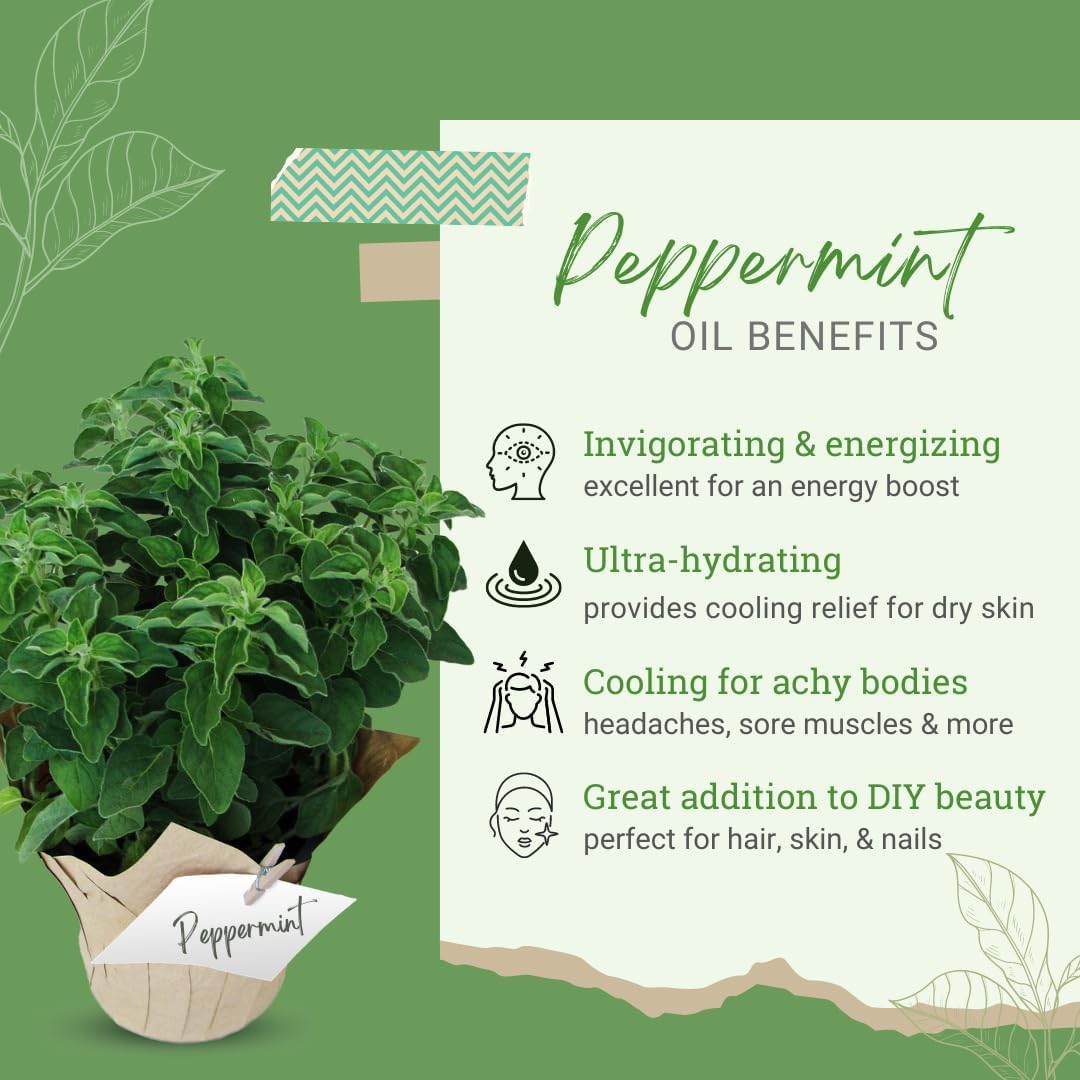 GreenHealth Peppermint (Mentha Piperita) Oil – 32 fl oz (946 ml) Aluminum Bottle with Plug Cap – 100% Pure & Uncut
