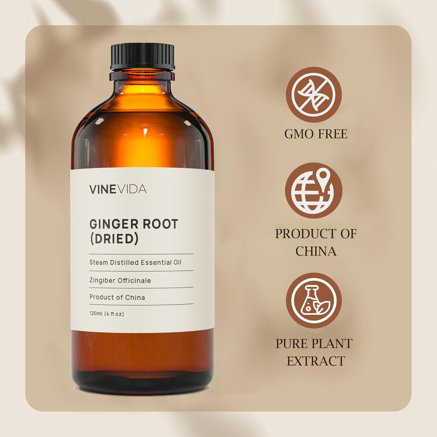 VINEVIDA Dried Ginger Root Essential Oil 4 oz - Undiluted Ginger Root Oil 4 oz - Ginger Root Candle Oil Scent - DIY Candle Scents for Candlemaking - Bulk Essential Oil for Soap Making Safe for Skin