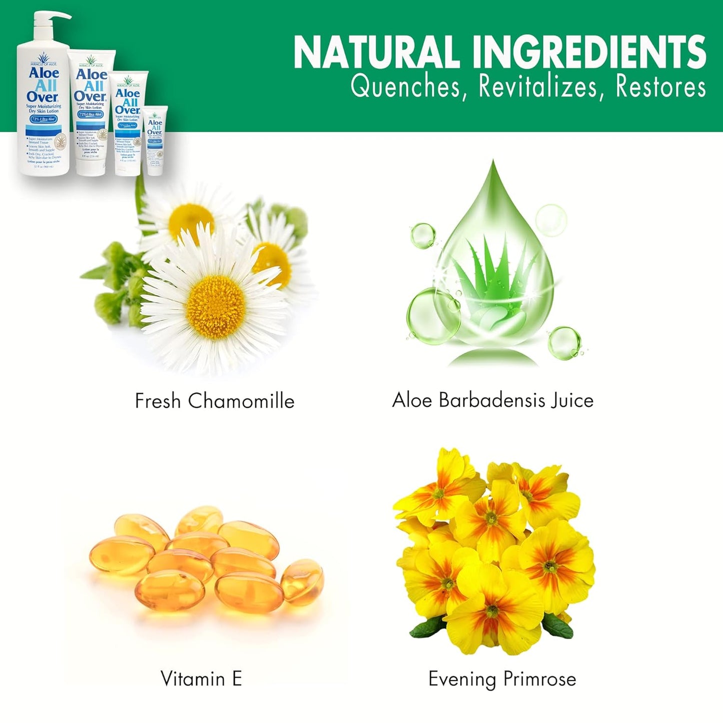 Miracle of Aloe Aloe All Over Super Moisturizing Dry Skin Lotion 8 oz - Made with 72% UltraAloe Aloe Vera Gel. Safe for Everyone: Men, Women, Children, Kids. Restores Dry Skin Fast