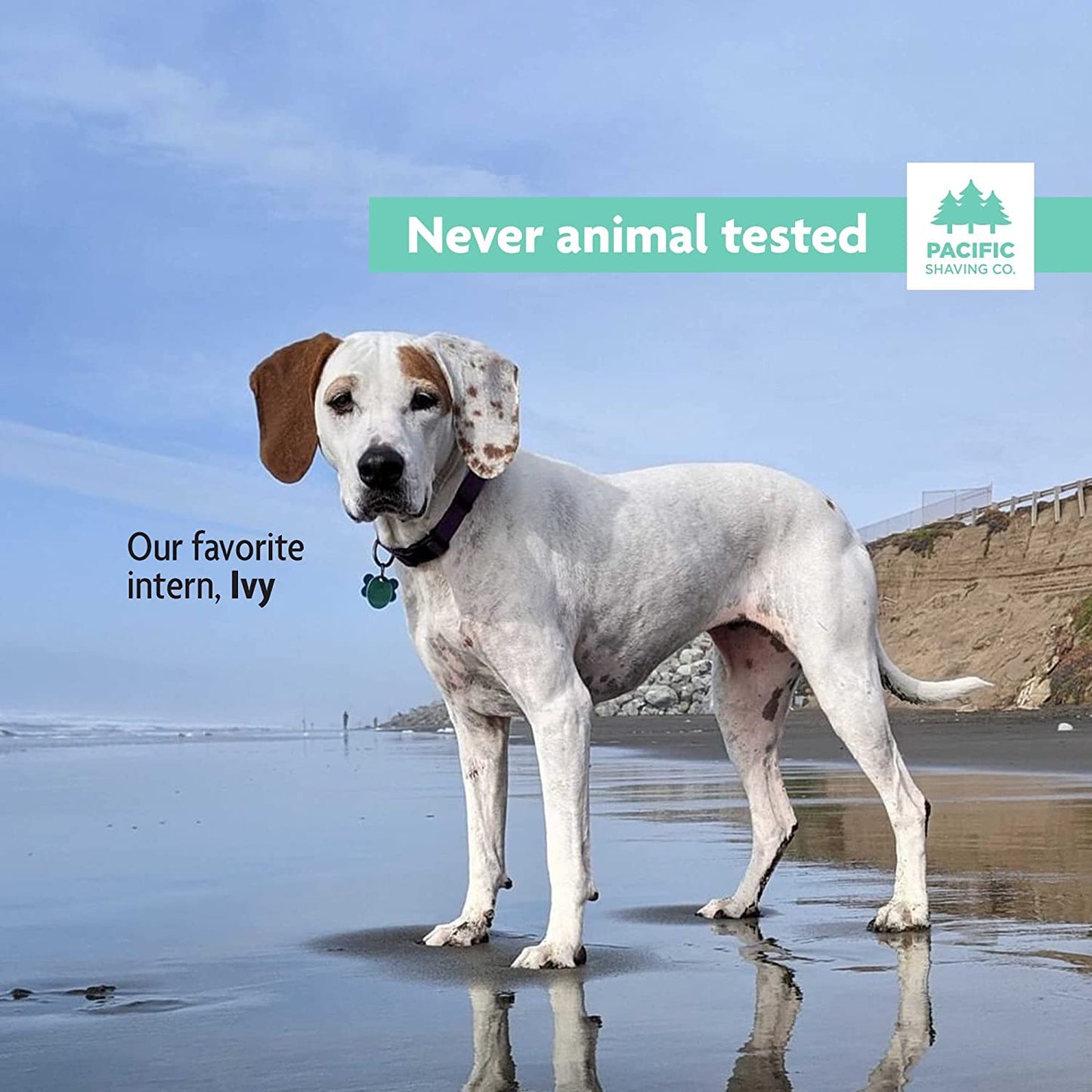 Pacific Shaving Company Green Shaving Cream - Foaming Colorful Shaving Cream - Hydrating, Redness Reducing + Irritation Free Shave Cream (7 Oz)