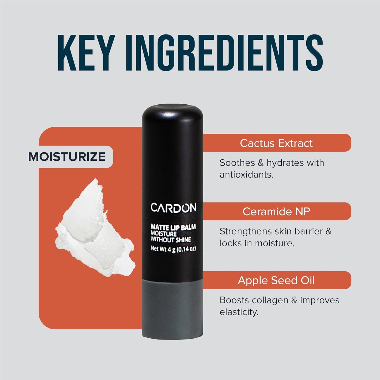 Cardon Lip Balm for Men - Matte Finish, Anti-Shine - Deeply Hydrating Lip Moisturizer for Dry, Chapped Lips that Smooth and Soothes with Korean Formulation - 4 Pack