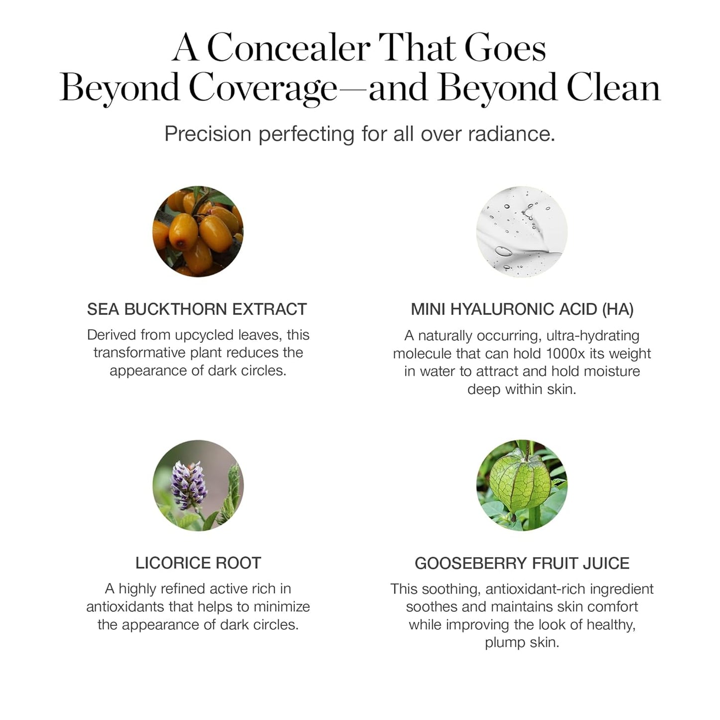 Ogee Complexion Perfecting Under Eye Concealer - Certified Organic Full Coverage Concealer - Buildable Coverage - BIRCH 0.25N - Fair (Neutral Undertones)