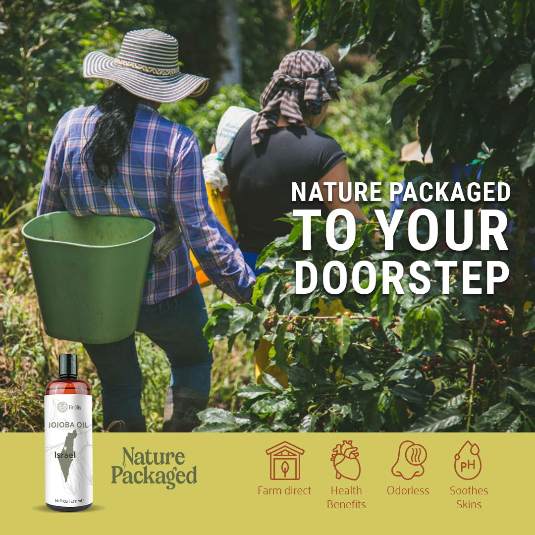 Jojoba Oil - Direct from EIR Oils' Farm in Israel - 100% Pure Carrier Oil for Hair, Face, and Skin - Hand-Picked, Cold-Pressed Carrier Oil (8oz)