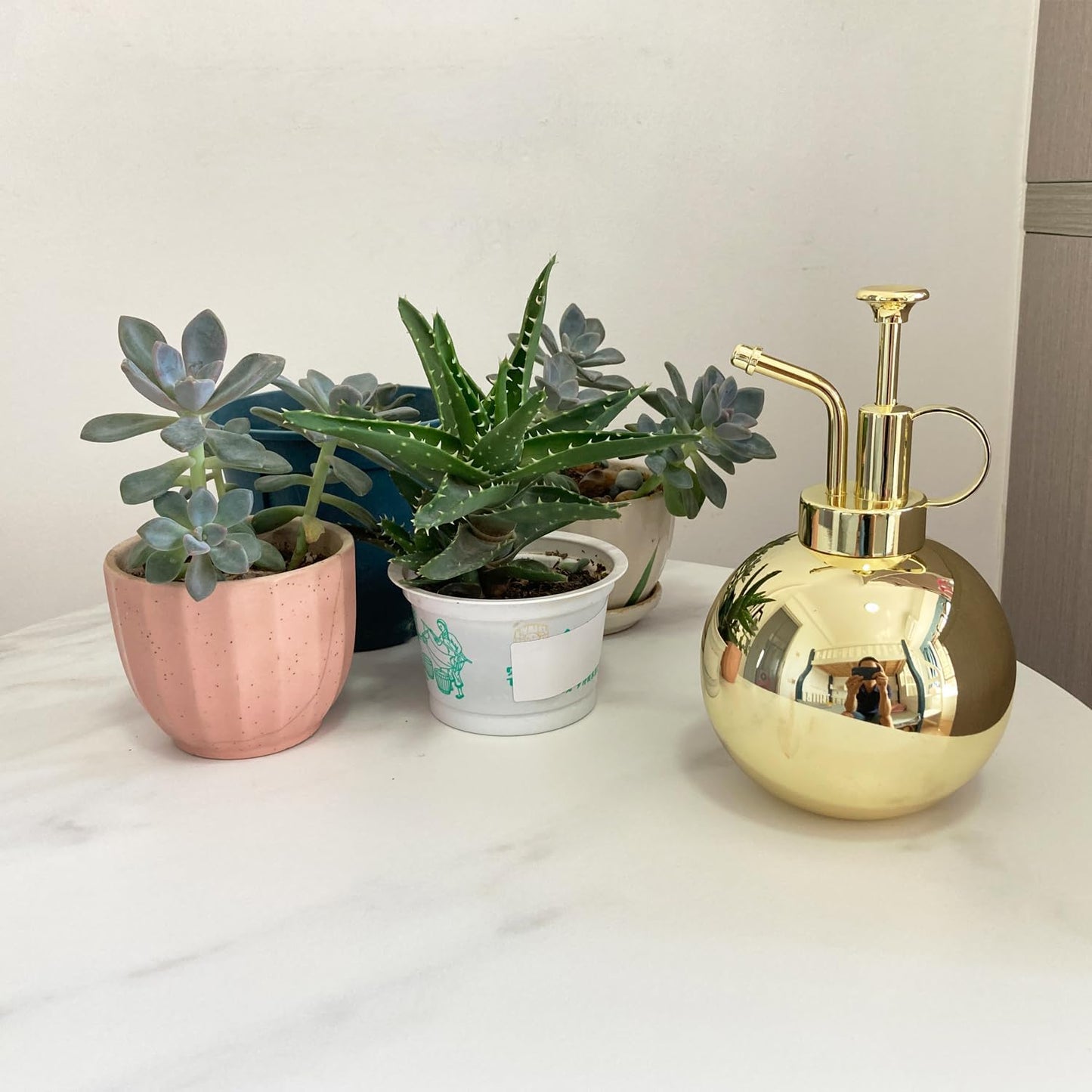 Plant Misting Bottle Stainless Steel Plant Sprayer, Small Watering Can Plant Misting Bottle Modern Gardening Tools for Indoor Potted Plants Watering and Misting