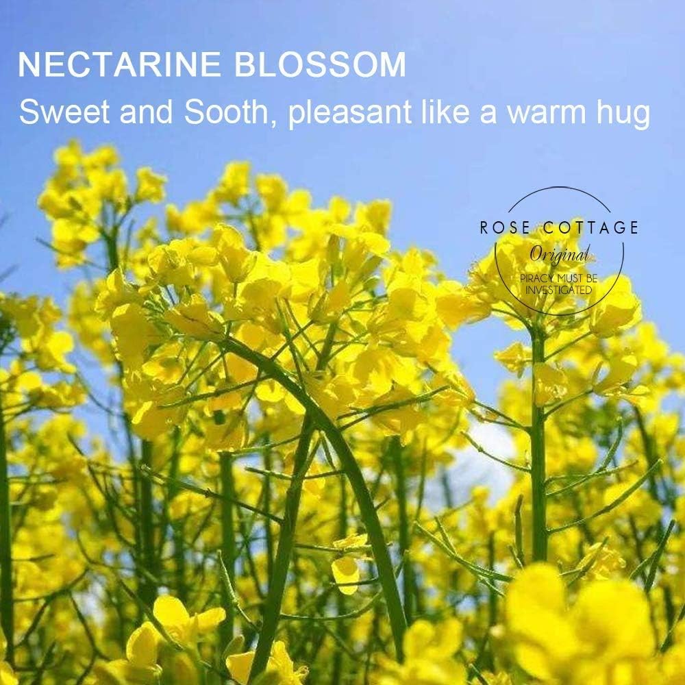 Large 12 Packs Apricot Blossom Hanging Closet Air Freshener Scented Sachets Long Lasting Smell Goods