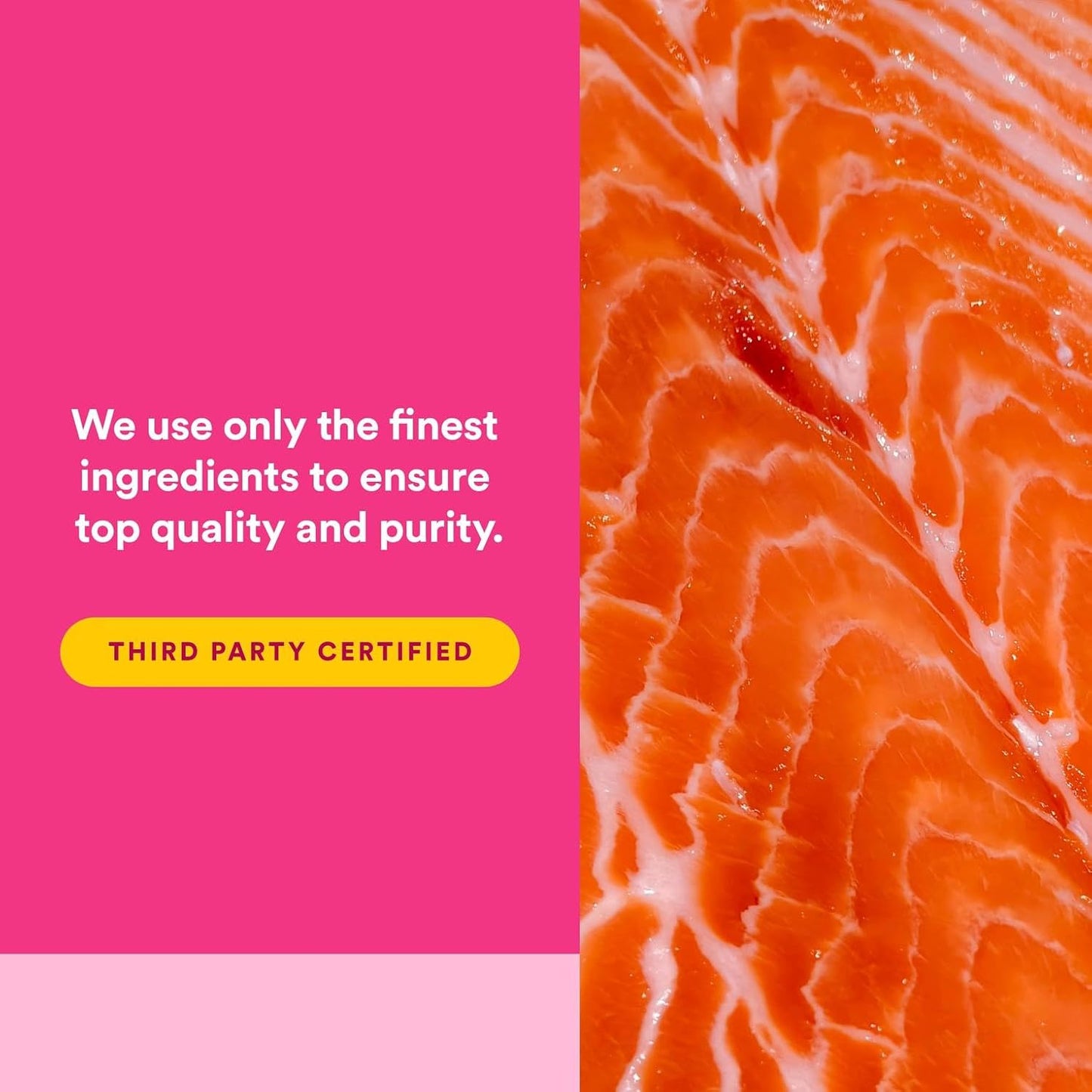 Complete Omega by Natural Factors, Wild Alaskan Salmon Oil, Supports Heart and Brain Health with Omega-3 DHA and EPA, 180 softgels (180 servings)