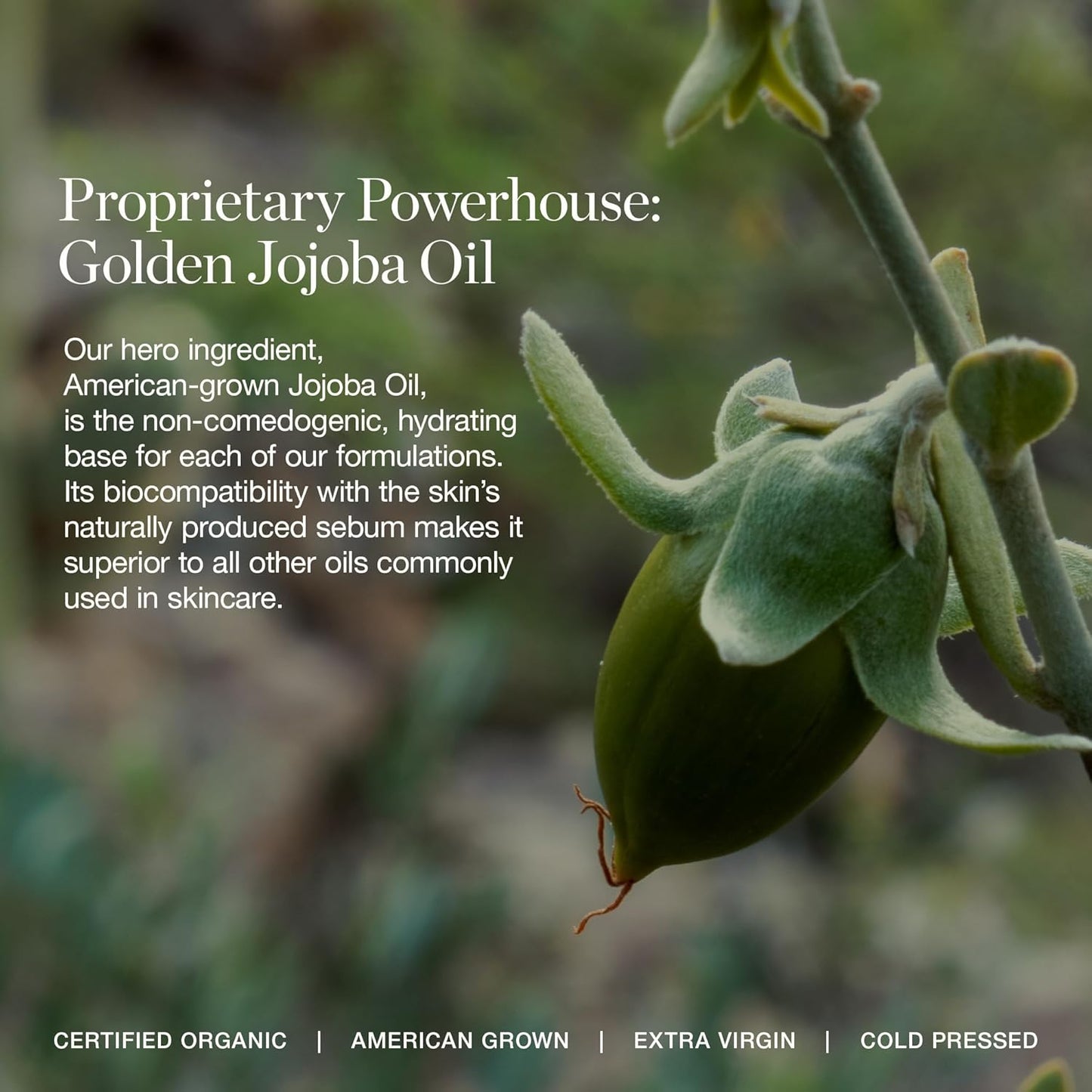 Ogee Complexion Perfecting Under Eye Concealer - Certified Organic Full Coverage Concealer - Buildable Coverage - HAZEL 2.90N - Light (Golden Undertones)