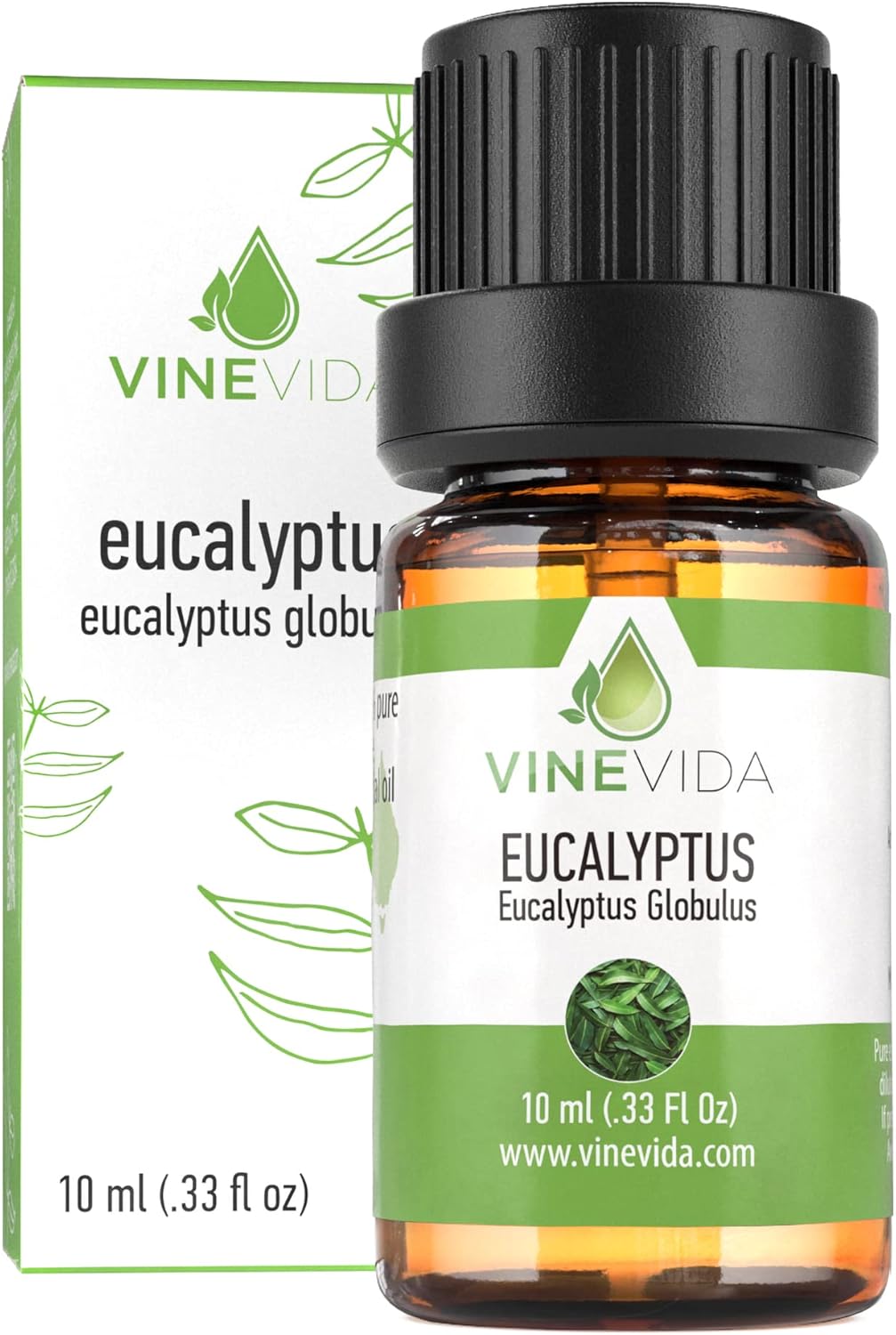 VINEVIDA Eucalyptus Essential Oil - 10 mL Undiluted - DIY Candle Scents - Safe for Skin