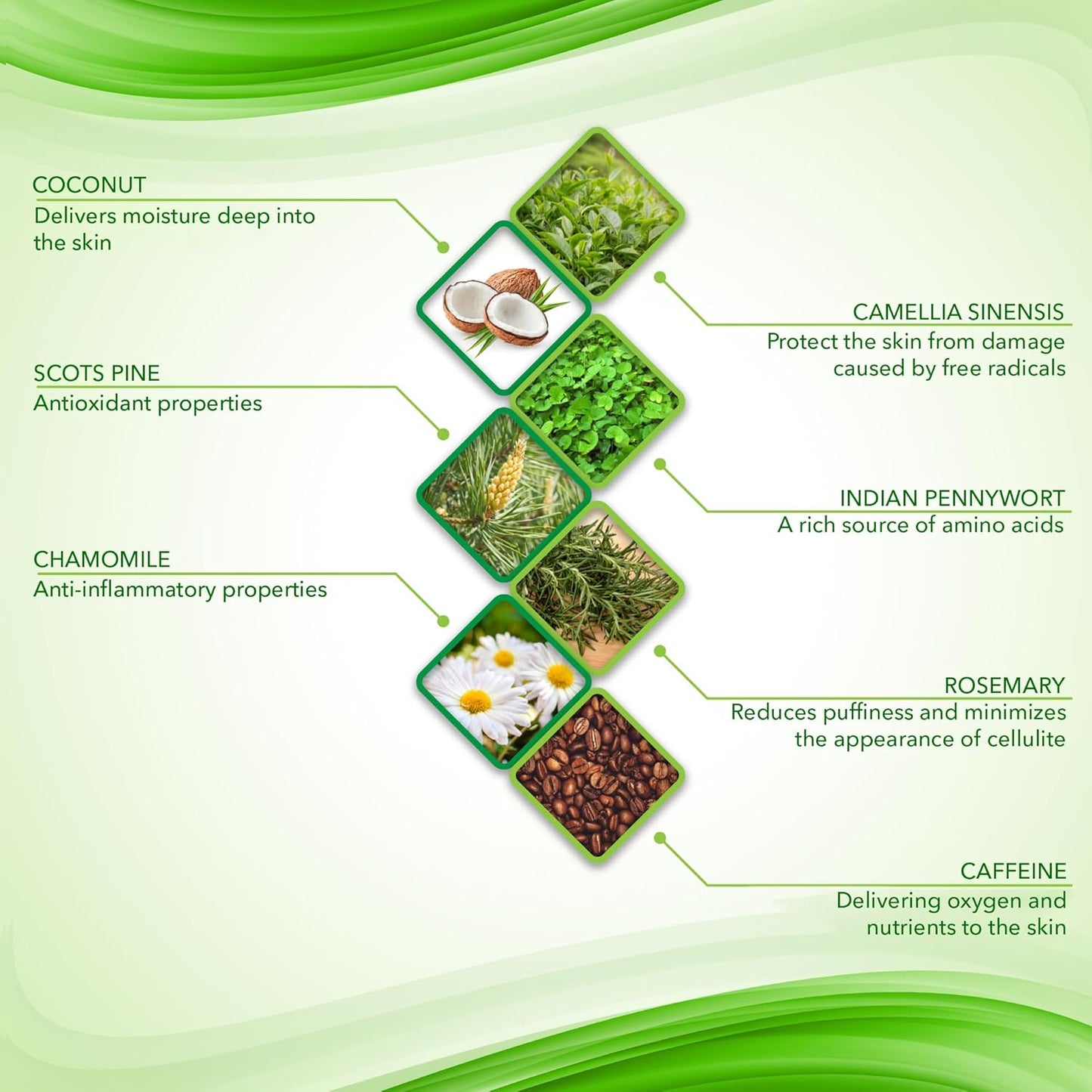 Anti-Cellulite Gel Cream – Body Moisturizer for Arms Legs and Stomach – Lift and Slim body cream by Shape and Tone 150 ml