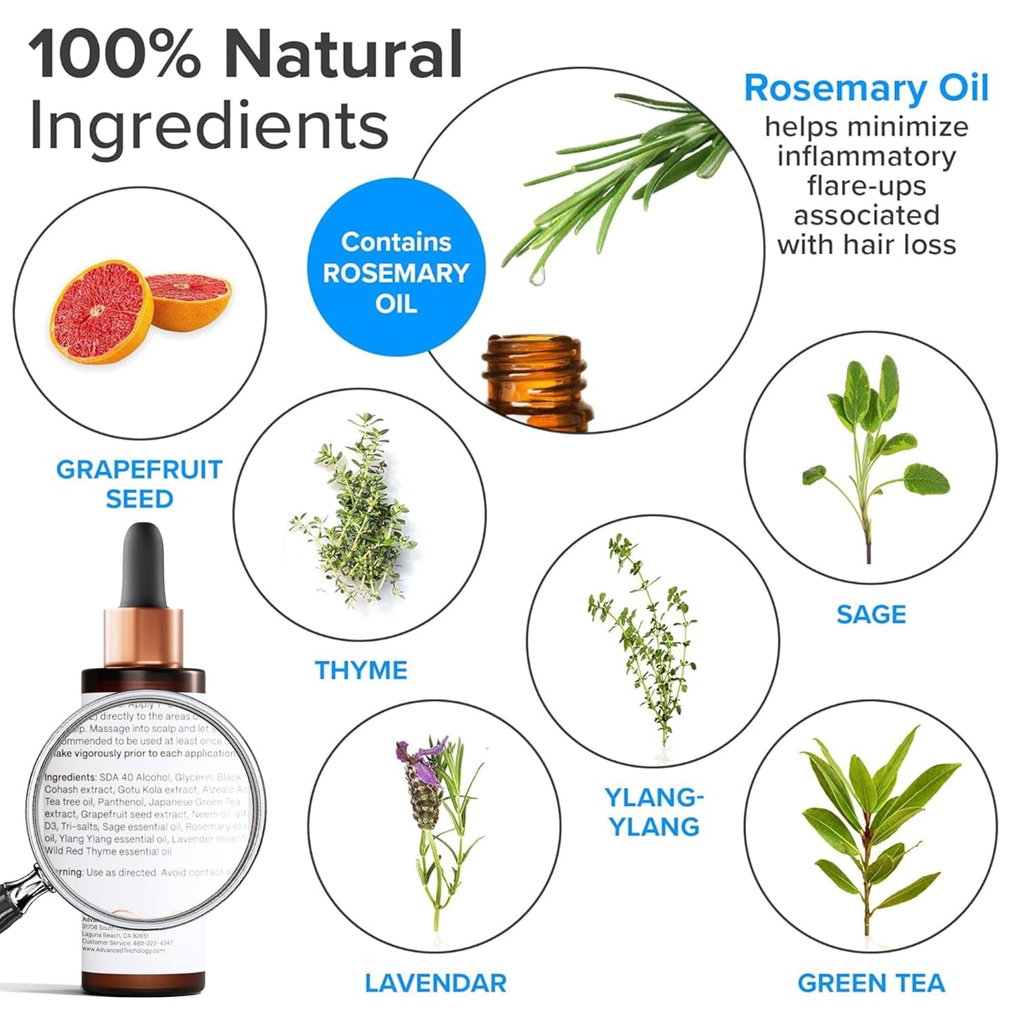 HairStem Follicle-boosting Triceutical Serum for Thicker Fuller Hair | Triple-Action, Multi-Zonal Topical Serum for Hormonal, Nutritional, and Inflammatory-Related Hair