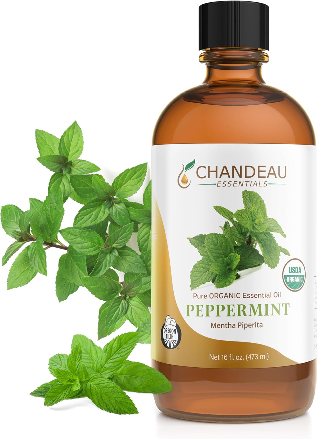 100% Pure Organic Essential Oil, Pure Peppermint Essential Oil for Aromatherapy, Soap Making, Candles, Laundry, Perfume, Cleaners or Diffusers - Large Amber Glass Bottle, 16 oz.