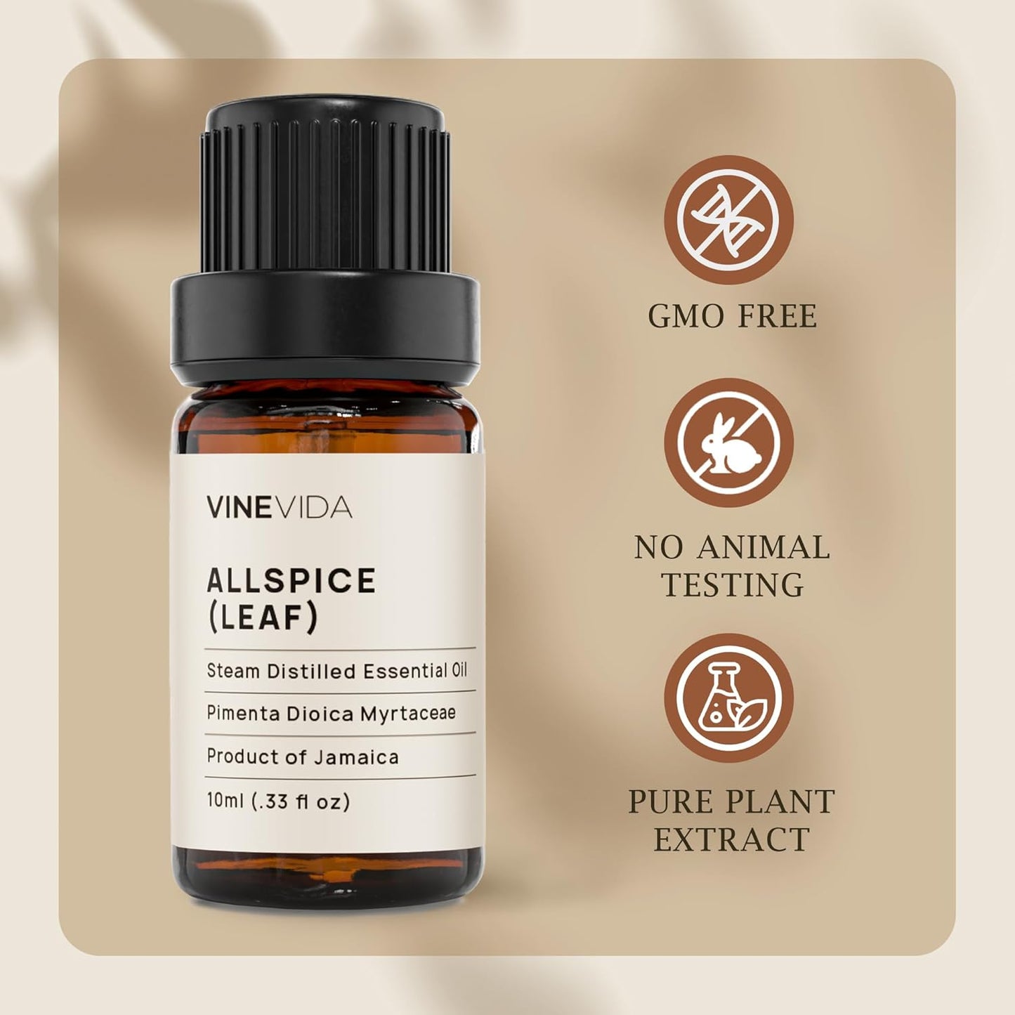 VINEVIDA Allspice Essential Oil - 10mL, DIY Candle Scents & Soap Making Base