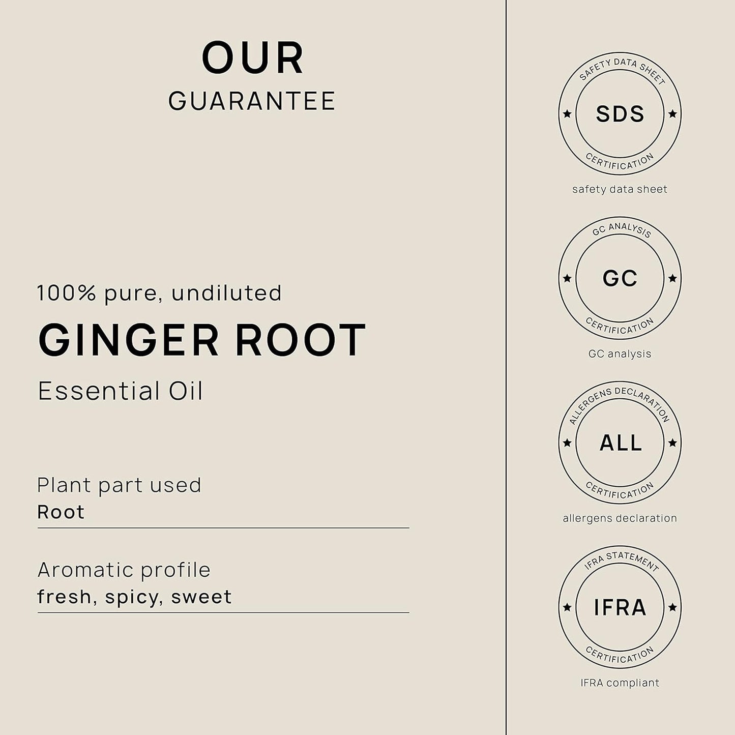 VINEVIDA Fresh Ginger Root Essential Oil 10 mL - Undiluted Candle Scent DIY Scents for Candlemaking Soap Making Safe Skin,0.33 Fl Oz 1.33 Ounces