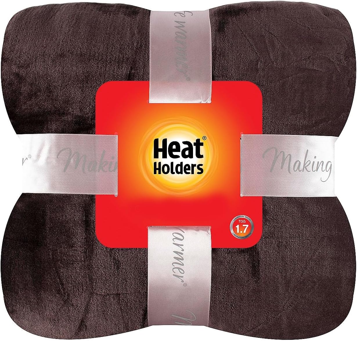 Heat Holders Personal-Sized Throw - Warm and Luxuriously Soft Fur-Like Fleece - Ideal for Bed, Sofa, Travel and Gifts | Sage / 50x70 inches