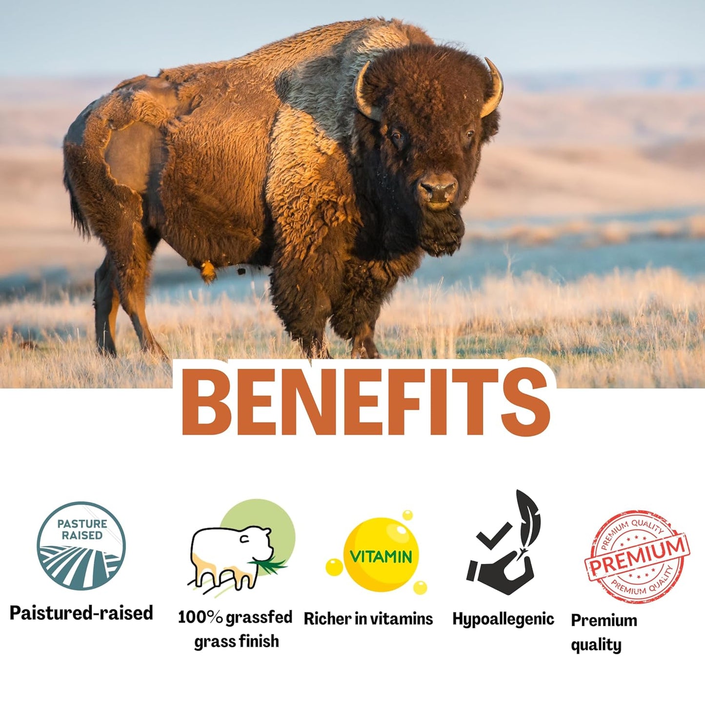BISON | EMU | HONEY Balm - with pasture raised Bison tallow - Astaxanthin, Bakuchiol, Royal Jelly | Whipped Tallow Balm | with honey and emu oil | All natural - 2 fl oz (2 OZ, Queen Bee)