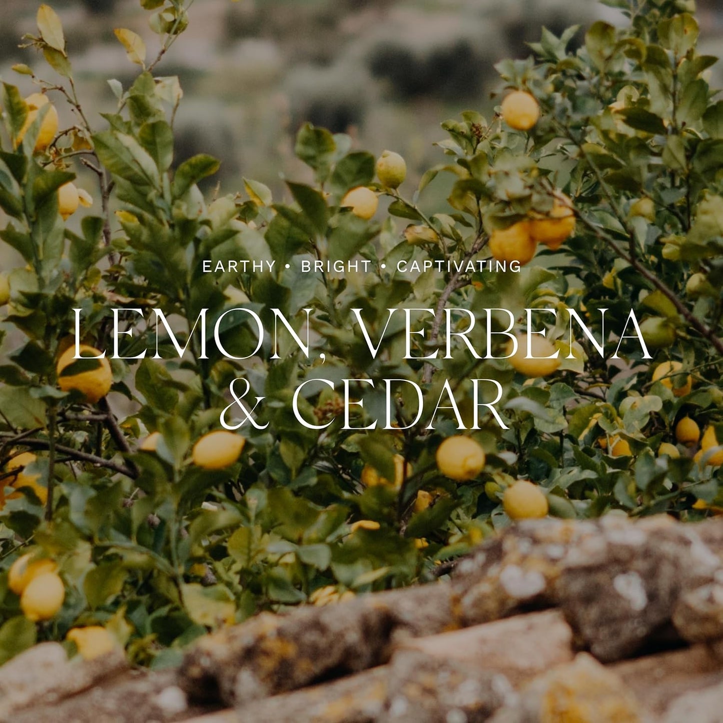 Antica Farmacista Acrylic Bath & Body Gift Set - Includes Body Wash, Body Moisturizer & Acrylic Tray - Bath & Body Gift Set for Women - Lemon Verbena & Cedar