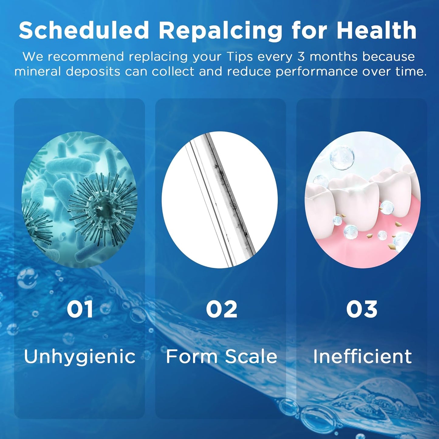 Replacement Tips for Waterpik Water Flosser (6 Brush Head Tips & Storage Case Bundle)