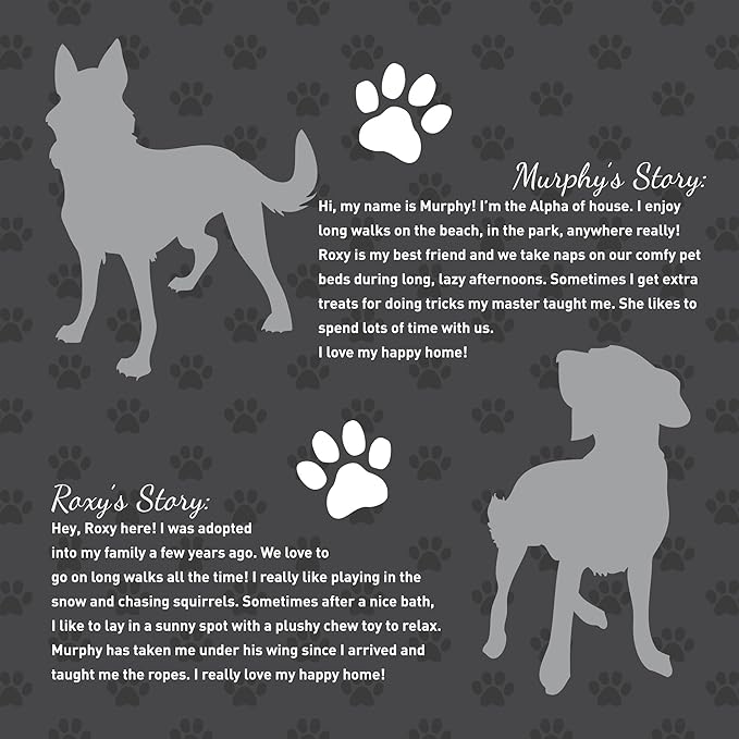 MR30 Murphy & Roxy Pet's Super Absorbent, Six-Layer, Scented Training Pads (30 Pack), Blue