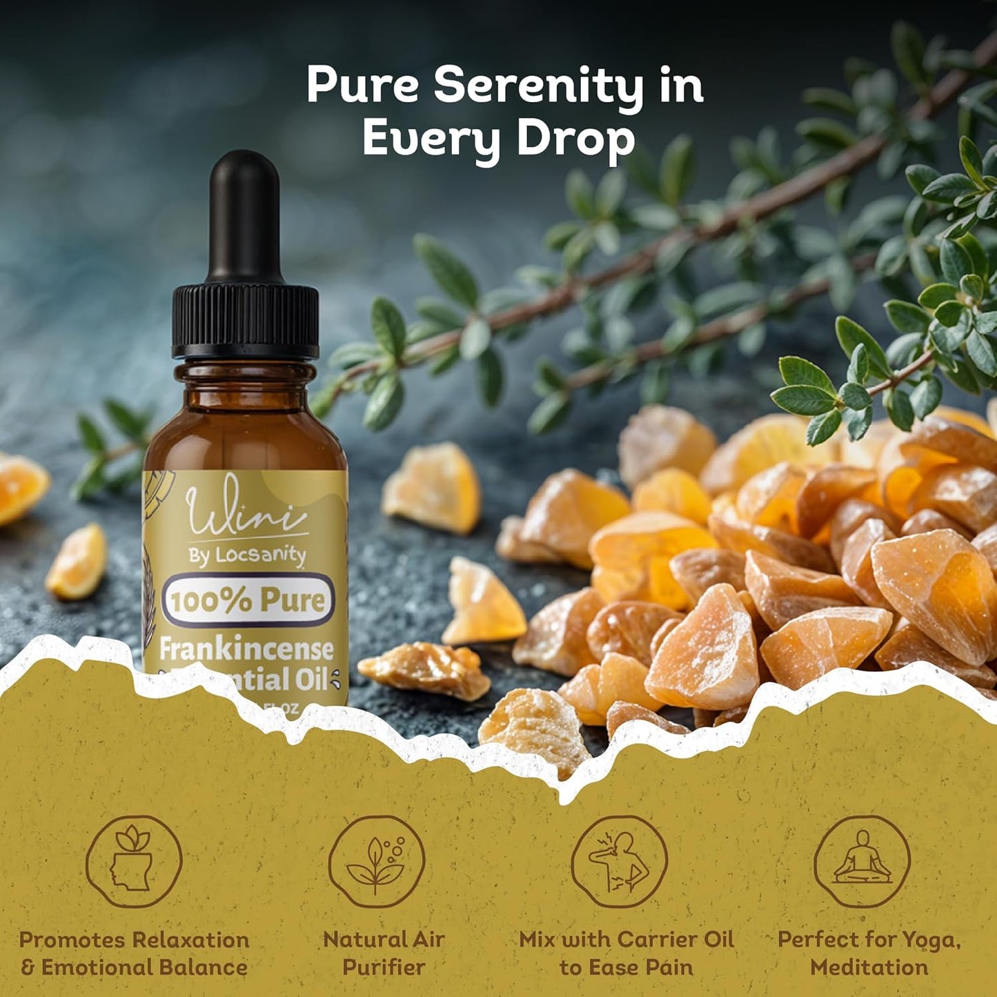 Wini by Locsanity Frankincense Essential Oil with Glass Dropper | 100% Pure & Natural Frankincense Diffuser Oil | Premium Grade Essential Oils for Skin Care, Aromatherapy, Hair & Scalp, Massage | 30ml