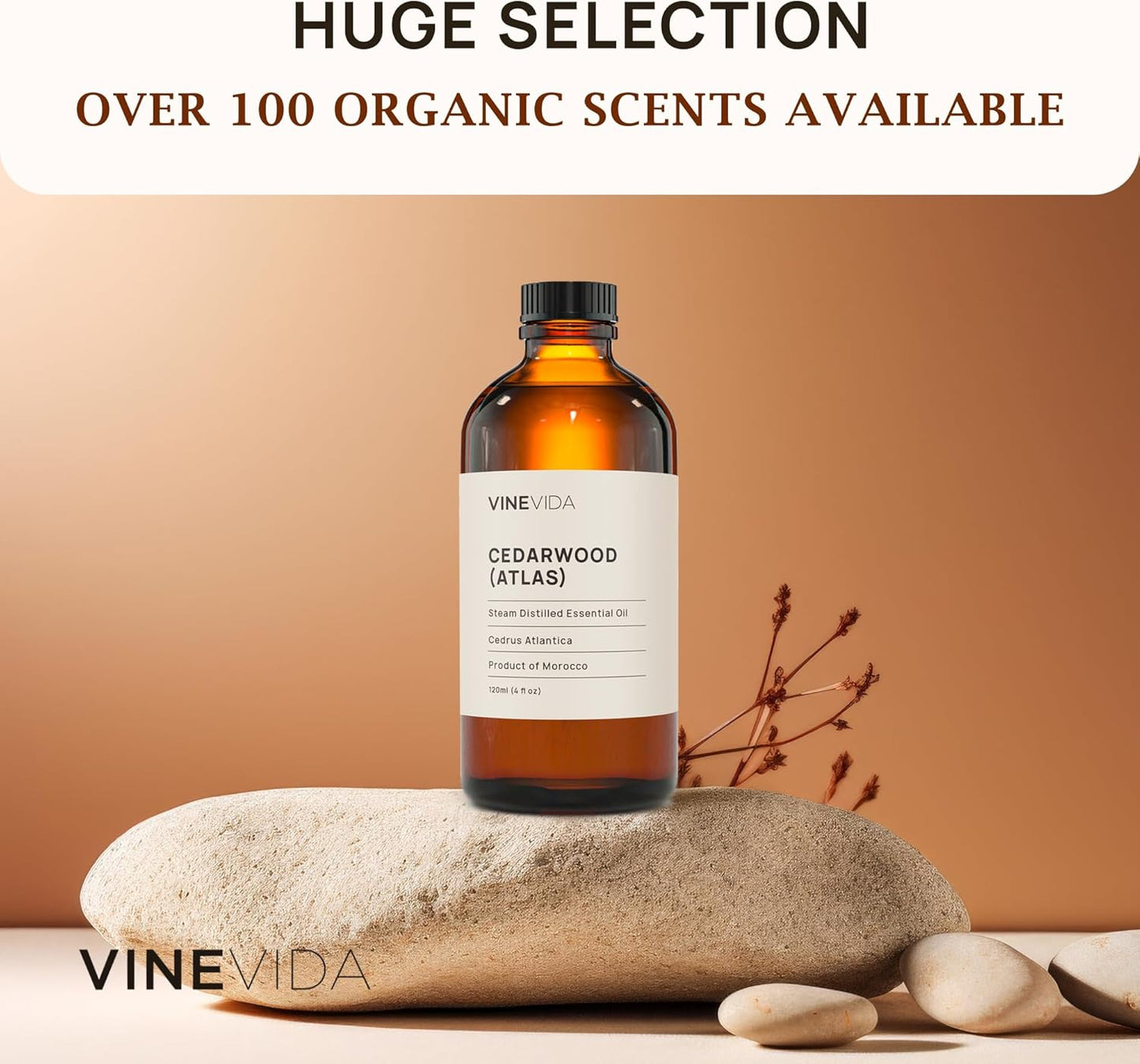 VINEVIDA Cedarwood Essential Oil 4 oz - Undiluted Cedarwood Candle Oil Scent - DIY Candle Scents for Candlemaking - Bulk Essential Oil for Soap Making