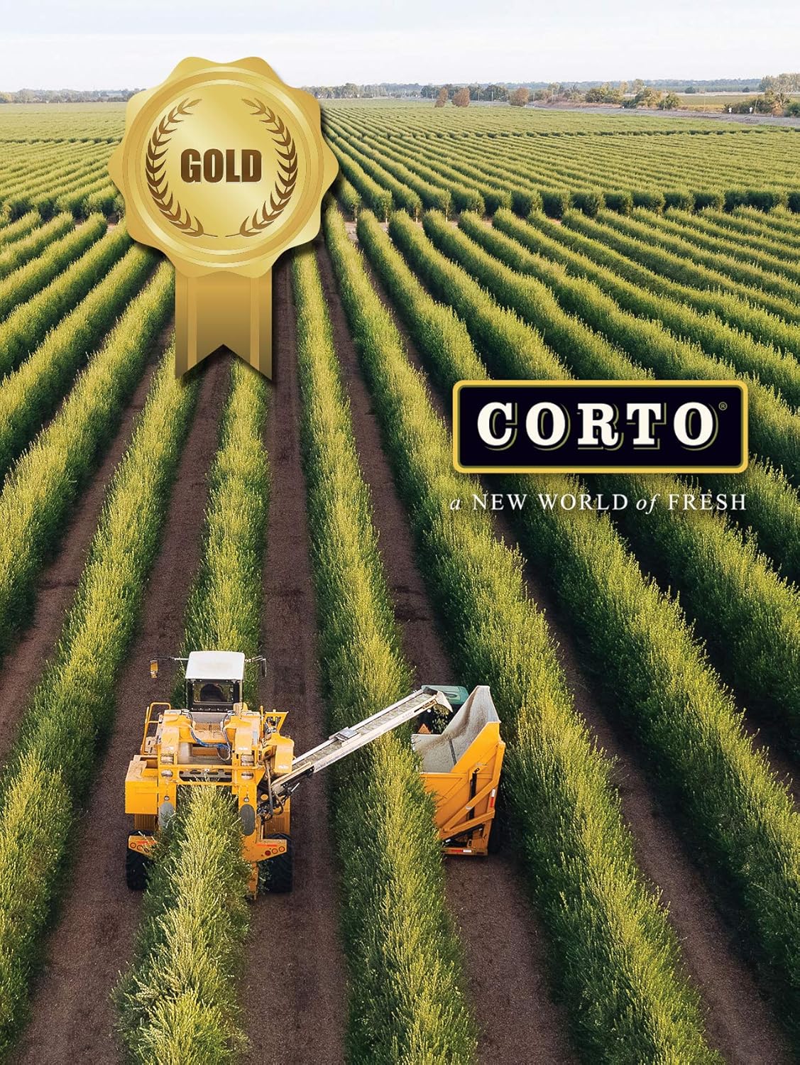 Corto TRULY® | 100% Extra Virgin Olive Oil | Floral Notes | Cold Extracted in State-of-the-Art Mill | Straight from Official Corto Olive Groves & Oil Producer (Truly 500ml Twin)